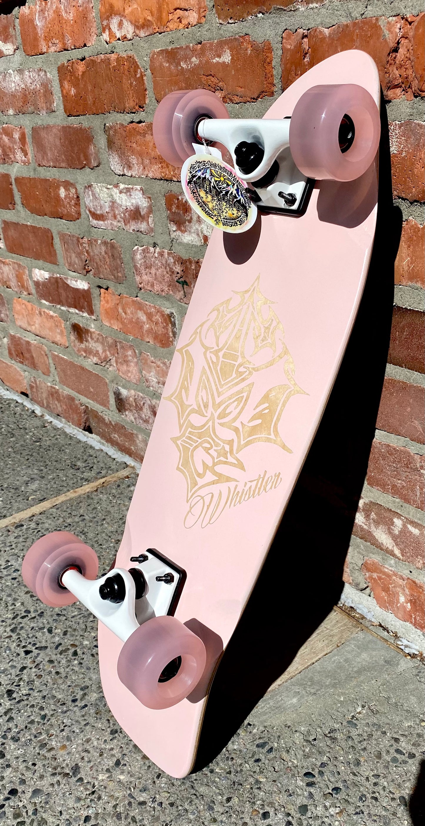 TMC Mini Stick Custom Cruiser