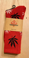MadToro socks