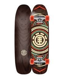 Skateboards & Cruisers – tmcfreeriderz.com