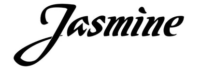 Jasmine - JM10 Mini Travel Guitar